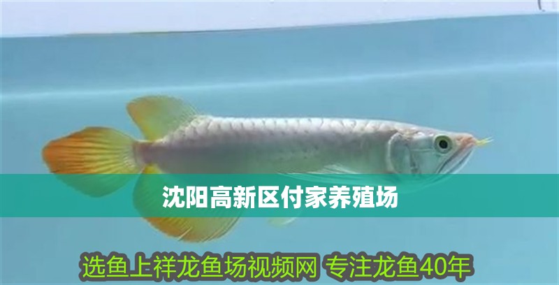 魚缸用增氧泵價格是多少:魚缸增氧機-xtrac增氧機-xtrac增氧機 沈陽高新區付家養殖場 全國水族館企業名錄 沈陽高新區付家養殖場 沈陽高新區付家養殖場 全國水族館企業名錄