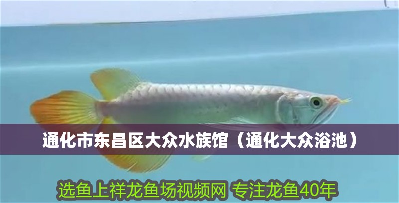 通化市東昌區(qū)大眾水族館（通化大眾浴池） 通化市東昌區(qū)大眾水族館（通化大眾浴池） 全國(guó)水族館企業(yè)名錄 第4張