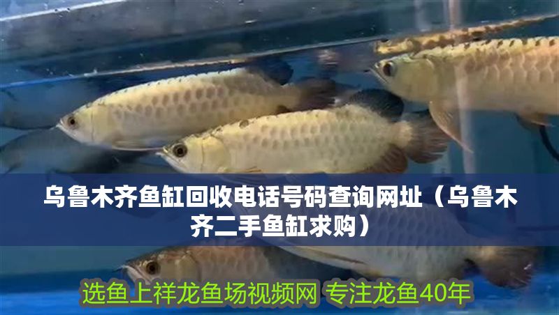 烏魯木齊魚缸回收電話號(hào)碼查詢網(wǎng)址（烏魯木齊二手魚缸求購(gòu)）