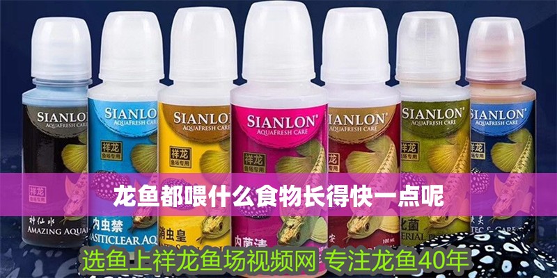 龍魚都喂什么食物長得快一點呢