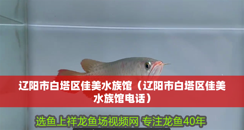 遼陽市白塔區佳美水族館（遼陽市白塔區佳美水族館電話）