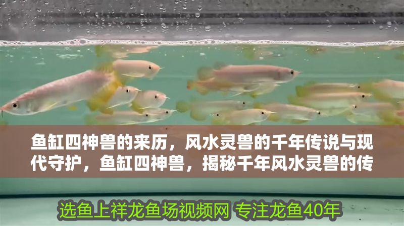 魚缸四神獸的來歷，風水靈獸的千年傳說與現代守護，魚缸四神獸，揭秘千年風水靈獸的傳說與現代守護使命 魚缸四神獸的來歷，風水靈獸的千年傳說與現代守護，魚缸四神獸，揭秘千年風水靈獸的傳說與現代守護使命 龍魚百科 第1張