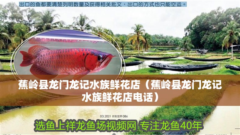 蕉嶺縣龍門龍記水族鮮花店（蕉嶺縣龍門龍記水族鮮花店電話） 蕉嶺縣龍門龍記水族鮮花店（蕉嶺縣龍門龍記水族鮮花店電話） 全國水族館企業名錄 第2張