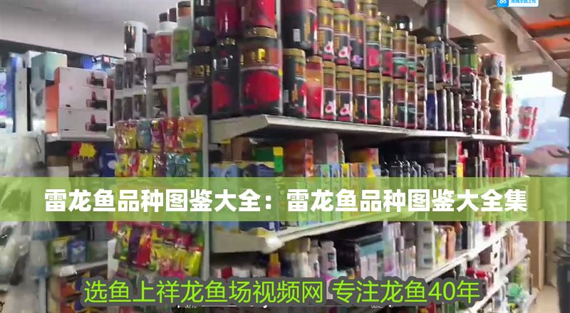 雷龍魚品種圖鑒大全:雷龍魚品種圖鑒大全集 金龍魚百科 第1張 雷龍魚品種圖鑒大全:雷龍魚品種圖鑒大全集 雷龍魚品種圖鑒大全:雷龍魚品種圖鑒大全集 金龍魚百科 第1張