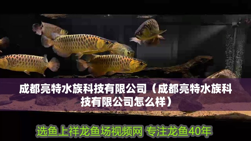 成都亮特水族科技有限公司（成都亮特水族科技有限公司怎么樣）