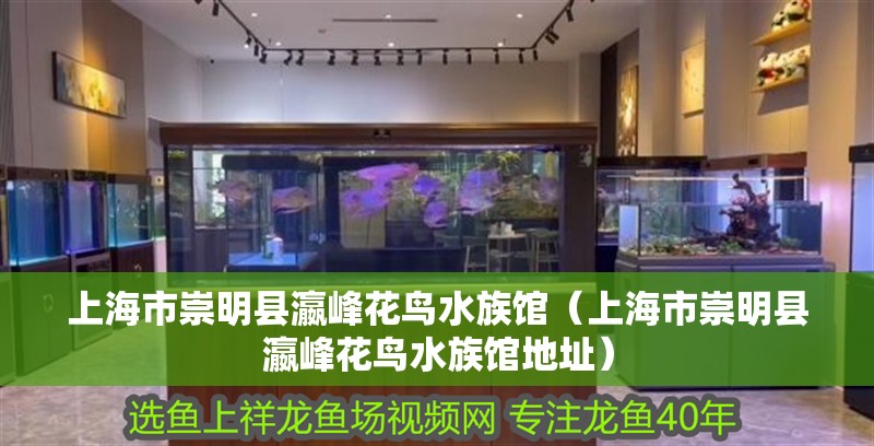 上海市崇明縣瀛峰花鳥水族館（上海市崇明縣瀛峰花鳥水族館地址）