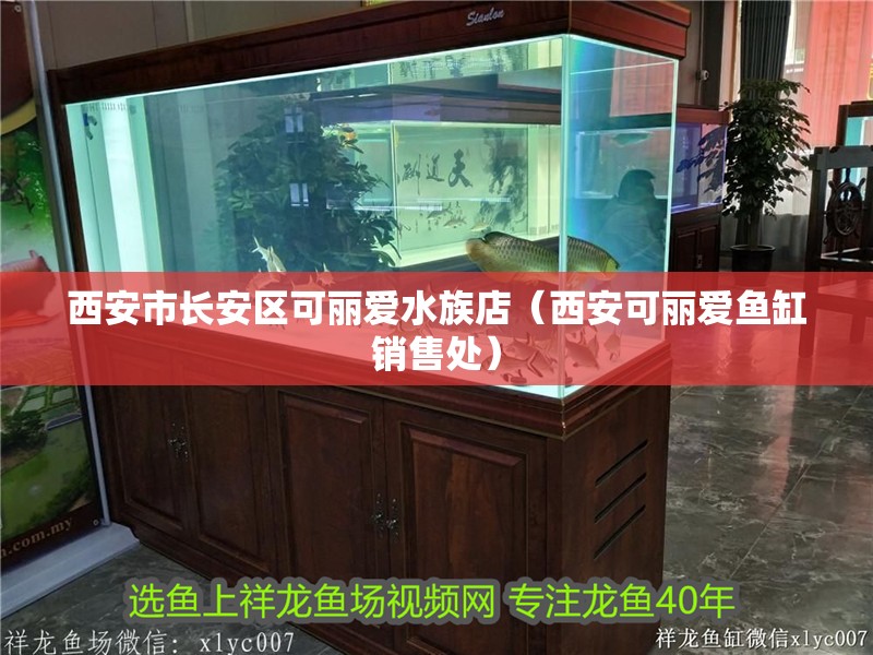 西安市長安區可麗愛水族店(西安可麗愛魚缸銷售處) 全國水族館企業名錄 第2張 西安市長安區可麗愛水族店(西安可麗愛魚缸銷售處) 西安市長安區可麗愛水族店(西安可麗愛魚缸銷售處) 全國水族館企業名錄 第2張