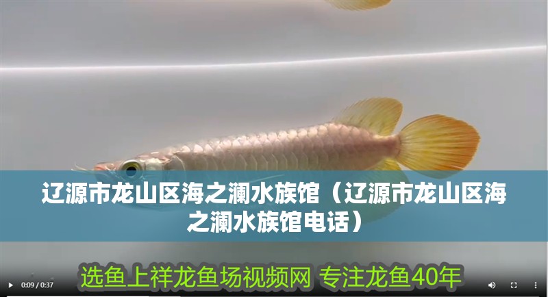 遼源市龍山區海之瀾水族館（遼源市龍山區海之瀾水族館電話）