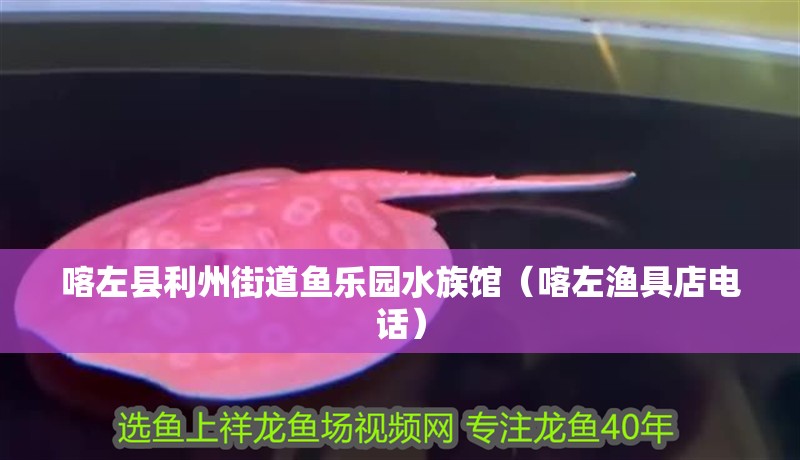 喀左縣利州街道魚樂園水族館（喀左漁具店電話） 喀左縣利州街道魚樂園水族館（喀左漁具店電話） 全國水族館企業(yè)名錄 第2張