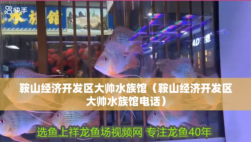 鞍山經濟開發區大帥水族館（鞍山經濟開發區大帥水族館電話）