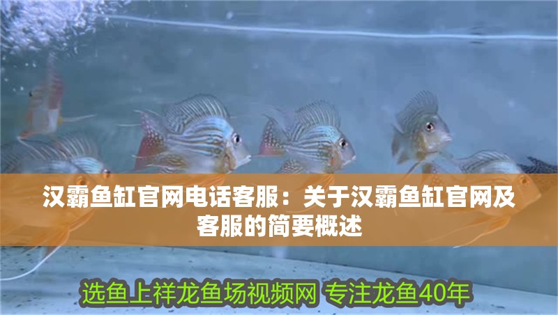 漢霸魚缸官網(wǎng)電話客服：關(guān)于漢霸魚缸官網(wǎng)及客服的簡要概述