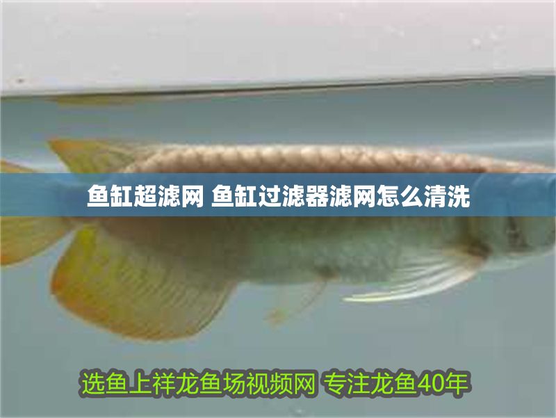 魚缸超濾網 魚缸過濾器濾網怎么清洗