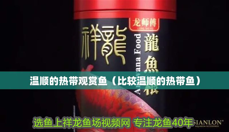 溫順的熱帶觀賞魚（比較溫順的熱帶魚）