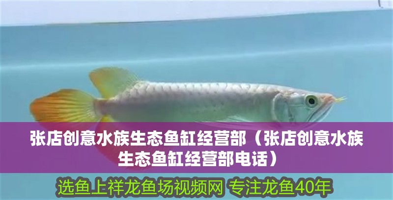 張店創意水族生態魚缸經營部（張店創意水族生態魚缸經營部電話） 張店創意水族生態魚缸經營部（張店創意水族生態魚缸經營部電話） 全國水族館企業名錄 第2張
