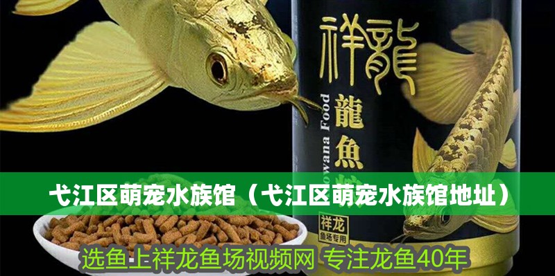 弋江區萌寵水族館（弋江區萌寵水族館地址）