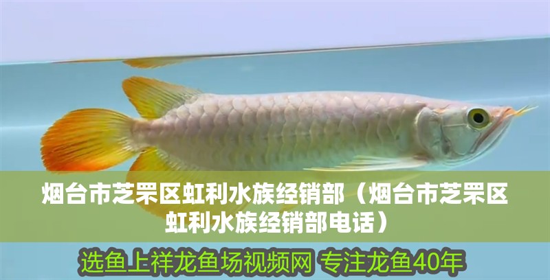 煙臺市芝罘區(qū)虹利水族經(jīng)銷部（煙臺市芝罘區(qū)虹利水族經(jīng)銷部電話）