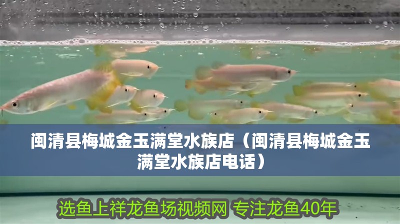 閩清縣梅城金玉滿堂水族店（閩清縣梅城金玉滿堂水族店電話）