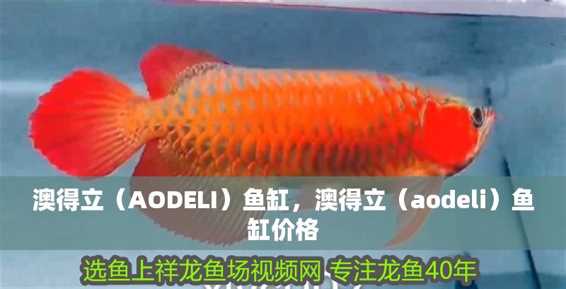 澳得立（AODELI）魚缸，澳得立（aodeli）魚缸價格