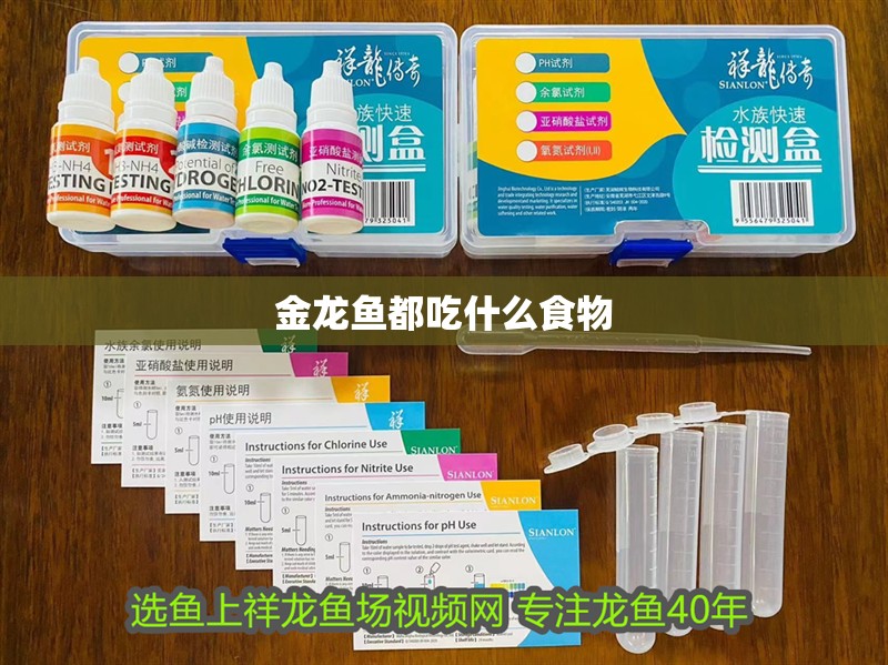 金龍魚都吃什么食物 金龍魚都吃什么食物 龍魚百科 第2張