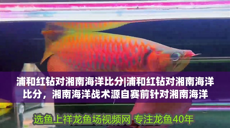 浦和紅鉆對湘南海洋比分|浦和紅鉆對湘南海洋比分，湘南海洋戰術源自賽前針對湘南海洋
