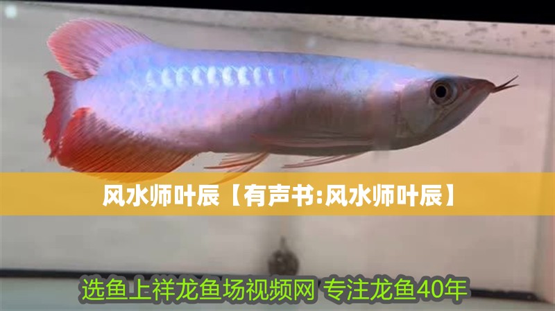 風水師葉辰【有聲書:風水師葉辰】