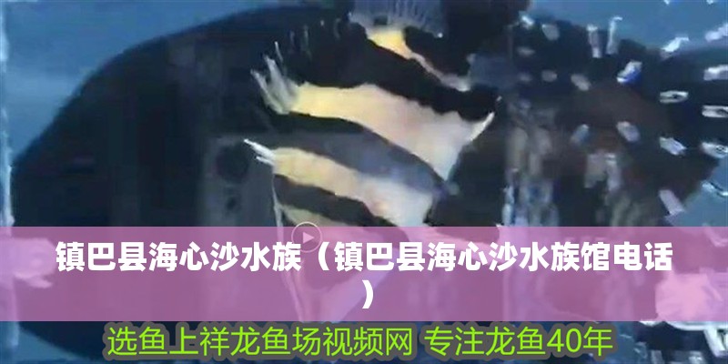 鎮巴縣海心沙水族（鎮巴縣海心沙水族館電話） 鎮巴縣海心沙水族（鎮巴縣海心沙水族館電話） 全國水族館企業名錄 第2張