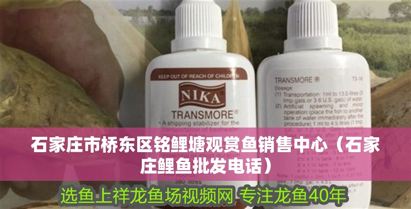 石家莊市橋東區銘鯉塘觀賞魚銷售中心（石家莊鯉魚批發電話） 石家莊市橋東區銘鯉塘觀賞魚銷售中心（石家莊鯉魚批發電話） 全國水族館企業名錄 第2張