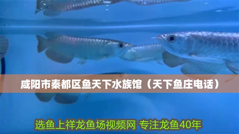 咸陽(yáng)市秦都區(qū)魚(yú)天下水族館（天下魚(yú)莊電話）