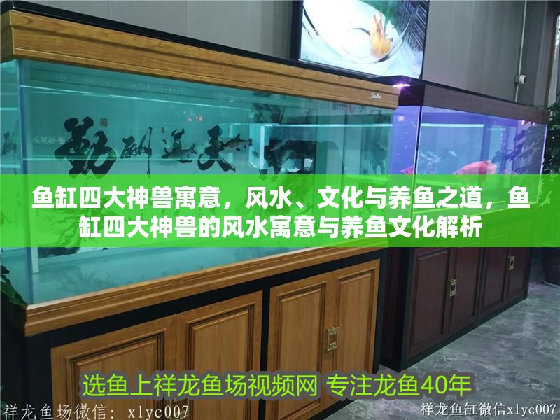 魚缸四大神獸寓意，風水、文化與養魚之道，魚缸四大神獸的風水寓意與養魚文化解析
