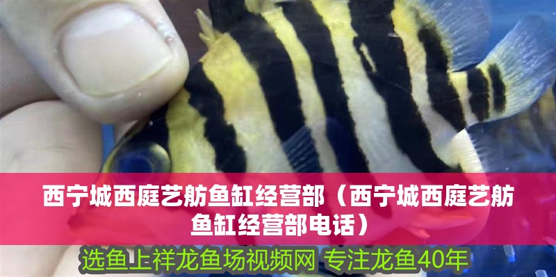 西寧城西庭藝舫魚缸經營部（西寧城西庭藝舫魚缸經營部電話）