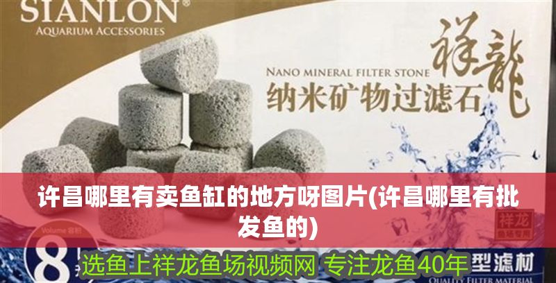 許昌哪里有賣魚缸的地方呀圖片(許昌哪里有批發魚的) 許昌哪里有賣魚缸的地方呀圖片(許昌哪里有批發魚的) 錦鯉魚百科 第1張