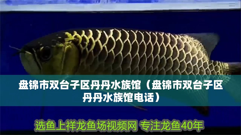 盤錦市雙臺子區丹丹水族館（盤錦市雙臺子區丹丹水族館電話）