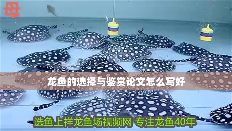 龍魚的選擇與鑒賞論文怎么寫好
