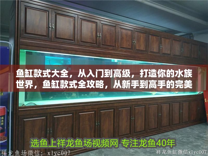 魚缸款式大全，從入門到高級，打造你的水族世界，魚缸款式全攻略，從新手到高手的完美水族箱選擇指南