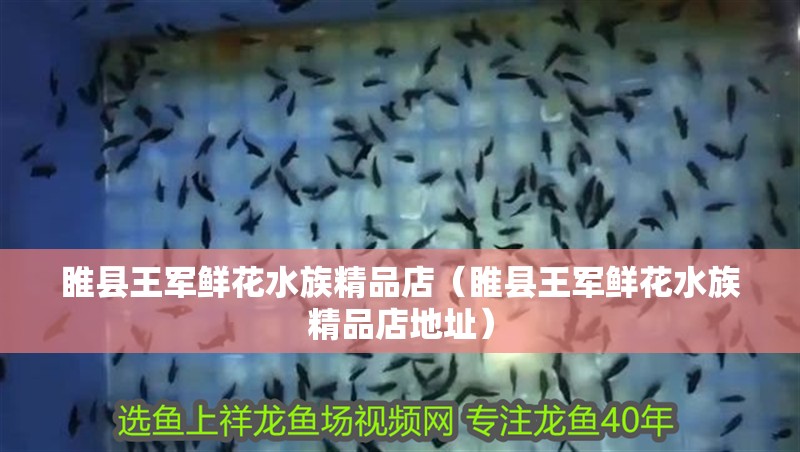 睢縣王軍鮮花水族精品店（睢縣王軍鮮花水族精品店地址）