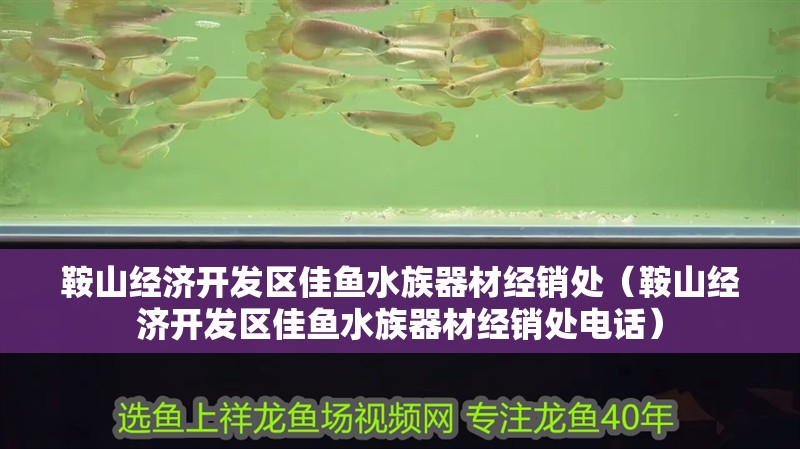 鞍山經濟開發區佳魚水族器材經銷處（鞍山經濟開發區佳魚水族器材經銷處電話）