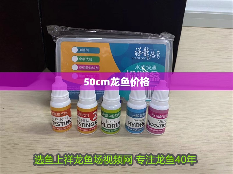 50cm龍魚價格