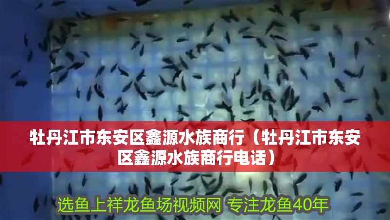 牡丹江市東安區鑫源水族商行(牡丹江市東安區鑫源水族商行電話) 全國水族館企業名錄 第2張 牡丹江市東安區鑫源水族商行(牡丹江市東安區鑫源水族商行電話) 牡丹江市東安區鑫源水族商行(牡丹江市東安區鑫源水族商行電話) 全國水族館企業名錄 第2張