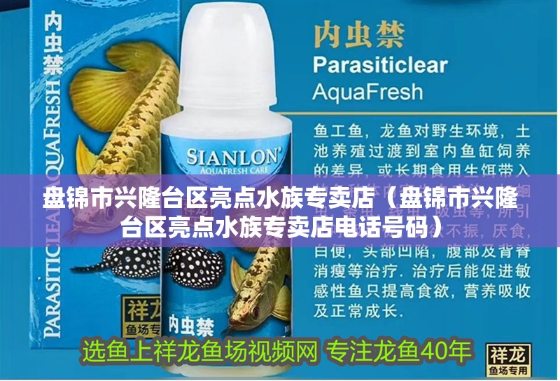 盤錦市興隆臺區(qū)亮點水族專賣店（盤錦市興隆臺區(qū)亮點水族專賣店電話號碼）