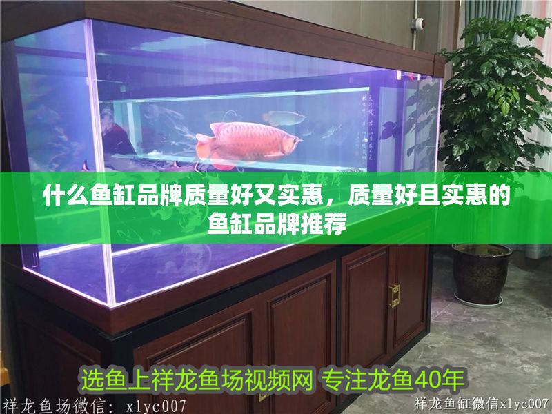什么魚缸品牌質量好又實惠，質量好且實惠的魚缸品牌推薦 什么魚缸品牌質量好又實惠，質量好且實惠的魚缸品牌推薦 魚缸百科 第2張