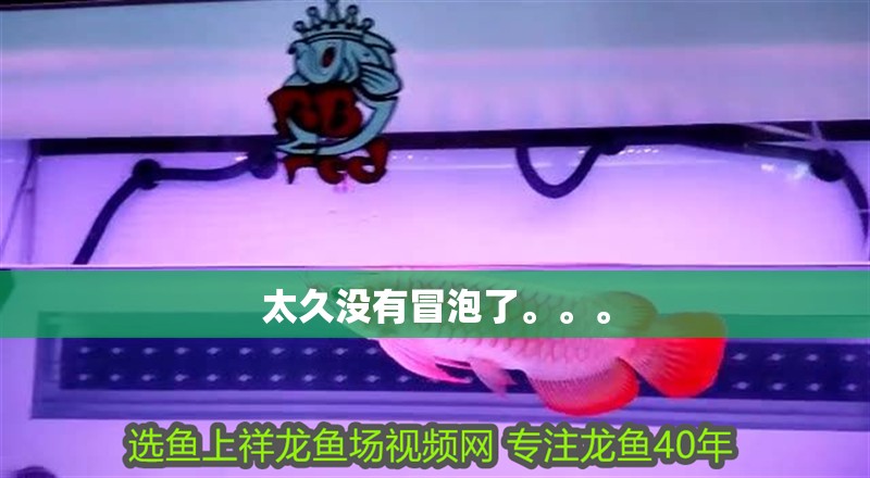 太久沒(méi)有冒泡了。。。