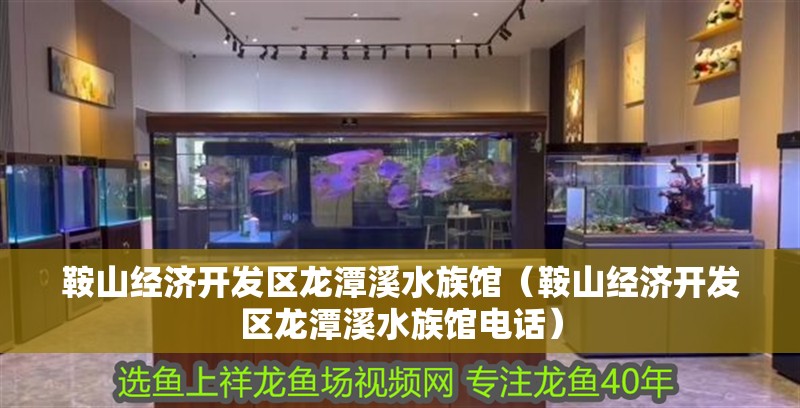 鞍山經濟開發區龍潭溪水族館（鞍山經濟開發區龍潭溪水族館電話）