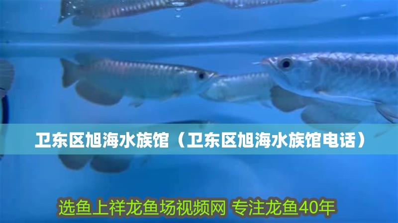 衛(wèi)東區(qū)旭海水族館（衛(wèi)東區(qū)旭海水族館電話(huà)）