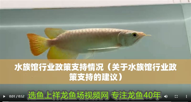 水族館行業政策支持情況（關于水族館行業政策支持的建議）