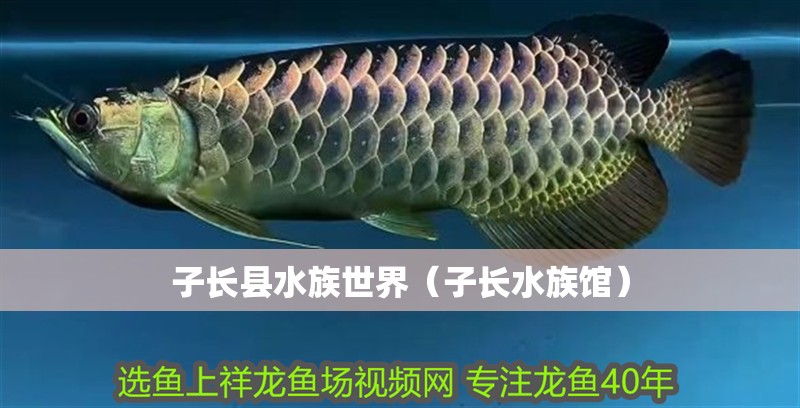 子長縣水族世界（子長水族館） 子長縣水族世界（子長水族館） 全國水族館企業名錄 第2張