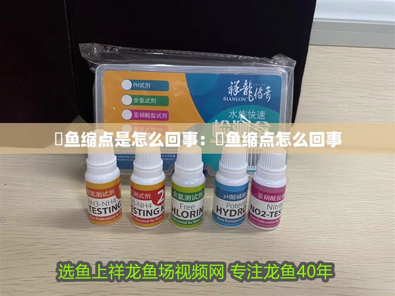 魟魚縮點是怎么回事:魟魚縮點怎么回事 魟魚百科 第2張 魟魚縮點是怎么回事:魟魚縮點怎么回事 魟魚縮點是怎么回事:魟魚縮點怎么回事 魟魚百科 第2張