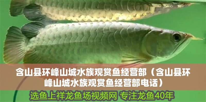 含山縣環峰山城水族觀賞魚經營部（含山縣環峰山城水族觀賞魚經營部電話）