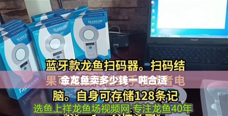 金龍魚賣多少錢一噸合適