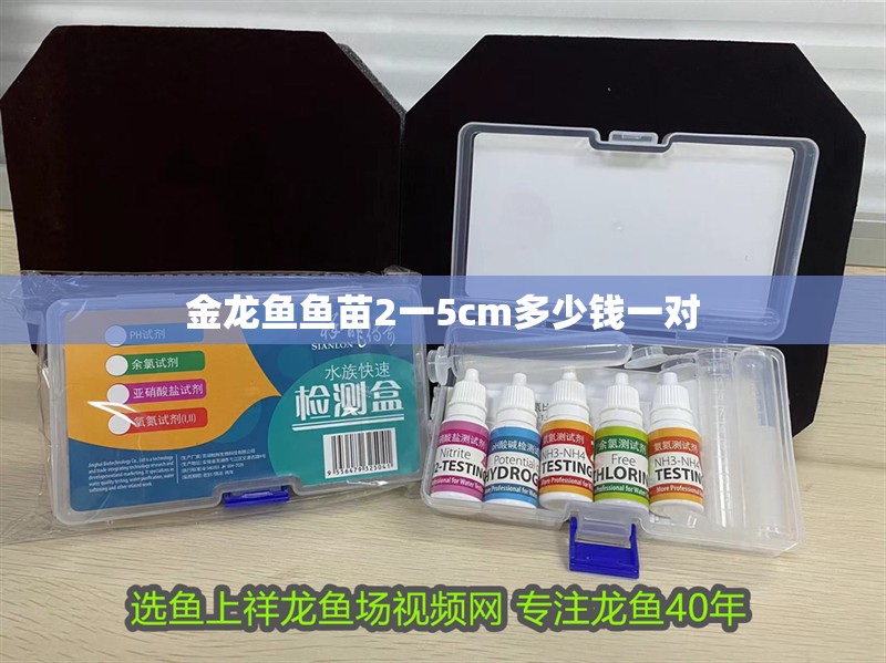 金龍魚魚苗2一5cm多少錢一對(duì)