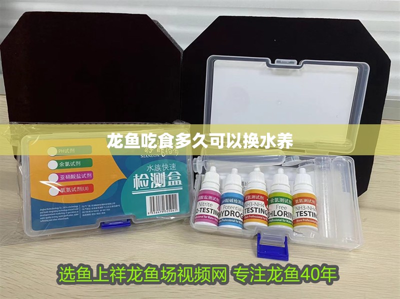 龍魚吃食多久可以換水養(yǎng) 龍魚吃食多久可以換水養(yǎng) 龍魚百科 第2張